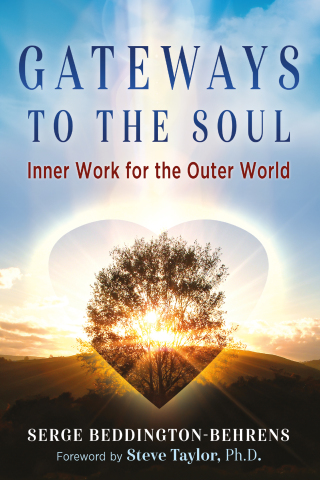 Cover image: Gateways to the Soul 9781644110454