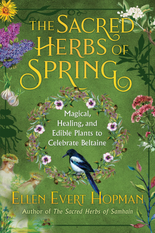 Cover image: The Sacred Herbs of Spring 9781644110652