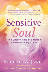 Cover image: Sensitive Soul 9781644110829