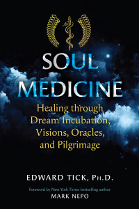 Cover image: Soul Medicine 9781644110898