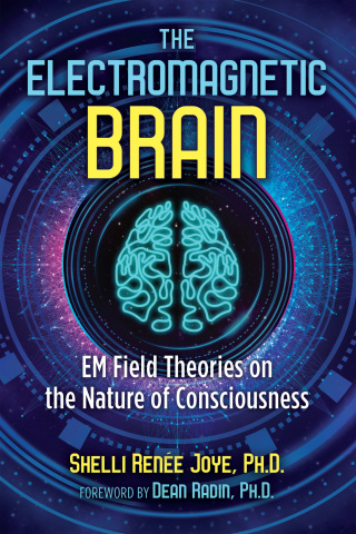 Cover image: The Electromagnetic Brain 2nd edition 9781644110911