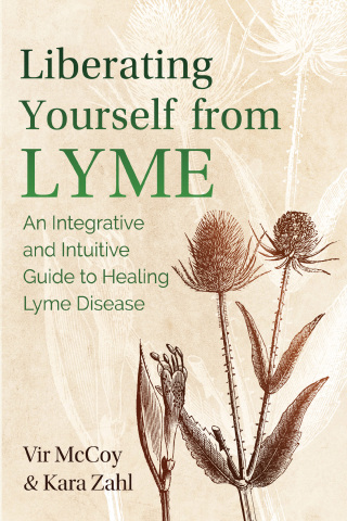 Cover image: Liberating Yourself from Lyme 2nd edition 9781644111550