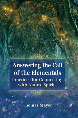 Cover image: Answering the Call of the Elementals 9781644112144