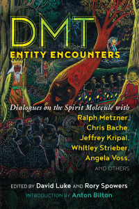 Cover image: DMT Entity Encounters 9781644112335