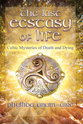 Cover image: The Last Ecstasy of Life 9781644112656