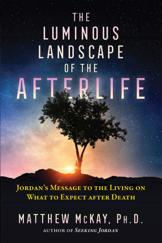 Cover image: The Luminous Landscape of the Afterlife 9781644112847