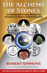 Cover image: The Alchemy of Stones 9781644113097