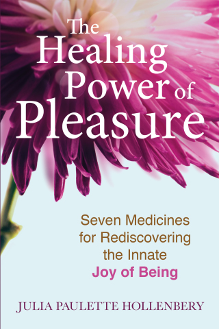 Cover image: The Healing Power of Pleasure 9781644113264