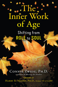 Cover image: The Inner Work of Age 9781644113400