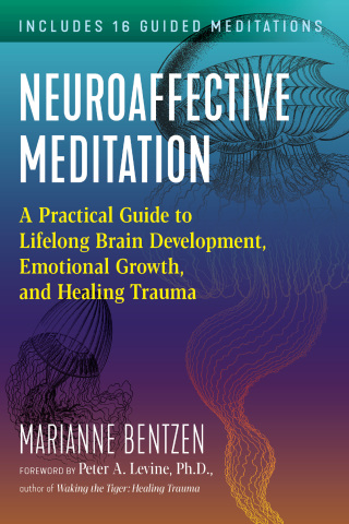 Cover image: Neuroaffective Meditation 9781644113523