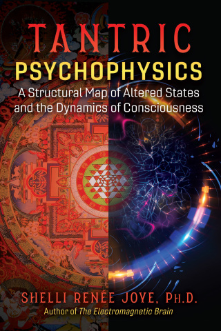 Cover image: Tantric Psychophysics 2nd edition 9781644113684