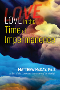 Cover image: Love in the Time of Impermanence 9781644113981