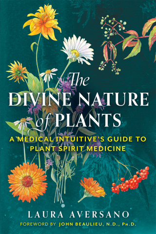 Cover image: The Divine Nature of Plants 2nd edition 9781644114452