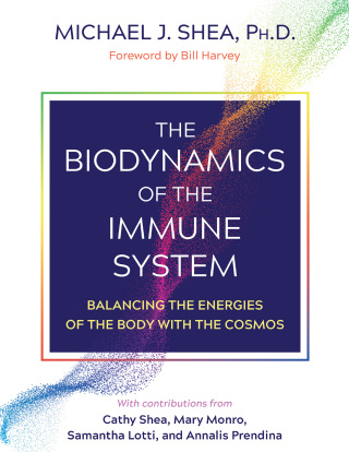 Cover image: The Biodynamics of the Immune System 9781644115251