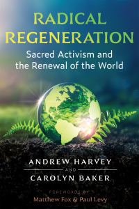 Cover image: Radical Regeneration 9781644115602