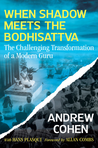 Cover image: When Shadow Meets the Bodhisattva 9781644115909