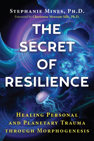 Cover image: The Secret of Resilience 9781644116081
