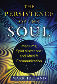 Cover image: The Persistence of the Soul 2nd edition 9781644117187