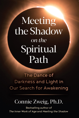 Cover image: Meeting the Shadow on the Spiritual Path 5th edition 9781644117224