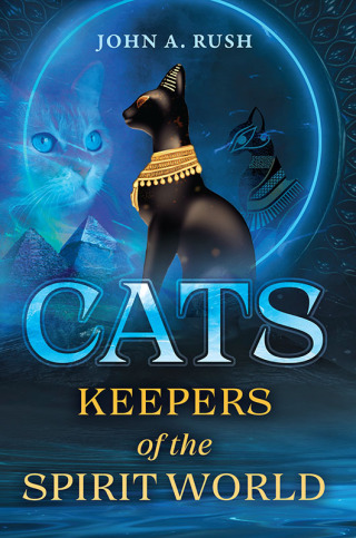 Cover image: Cats 9781644117460