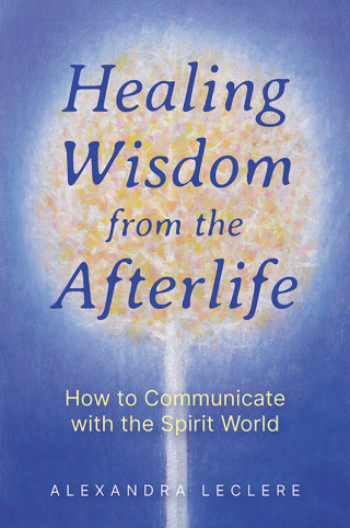 Cover image: Healing Wisdom from the Afterlife 9781644118900