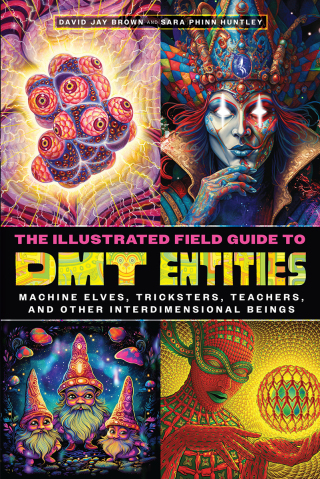 Cover image: The Illustrated Field Guide to DMT Entities 9781644119198