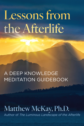 Cover image: Lessons from the Afterlife 9781644119402