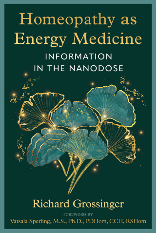 Cover image: Homeopathy as Energy Medicine 9781644119662