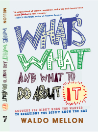 Cover image: What's What and What to Do About It 9781644210383