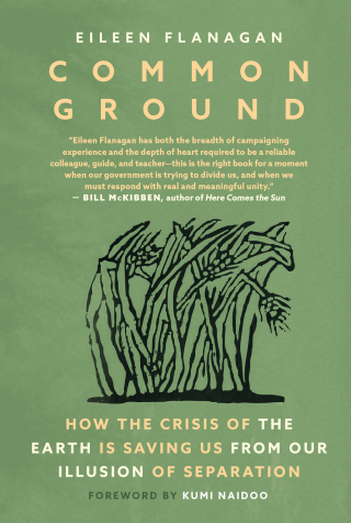 Cover image: Common Ground 9781644214787
