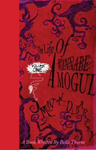 Cover image: The Life of a Wannabe Mogul: Mental Disarray 9781644280560