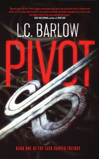 Cover image: Pivot 9781644280539
