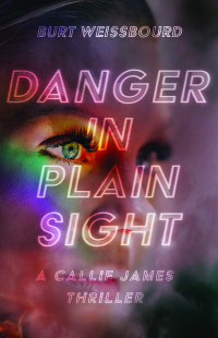 Cover image: Danger in Plain Sight 9781644282984