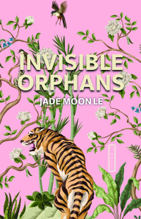 Imagen de portada: Invisible Orphans 9781644283141