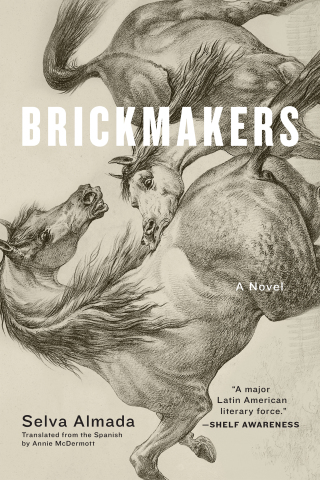 Cover image: Brickmakers 9781644450697