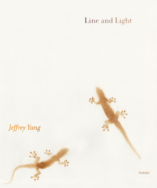 Cover image: Line and Light 9781644450864