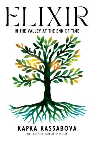 Cover image: Elixir 9781644452332