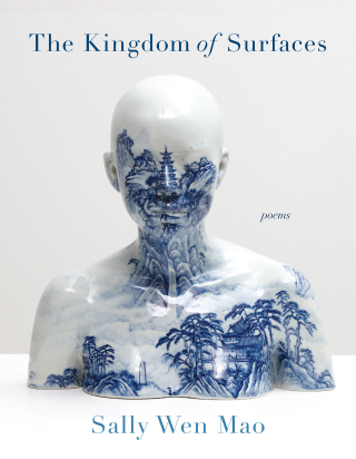 Cover image: The Kingdom of Surfaces 9781644452370