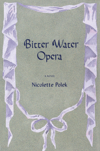 Cover image: Bitter Water Opera 9781644452837