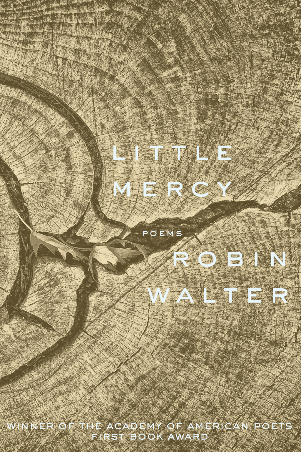 Little Mercy Poems
