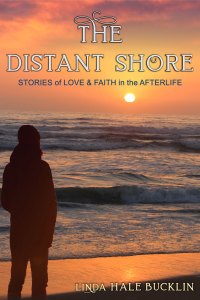 Cover image: The Distant Shore 9781644572221