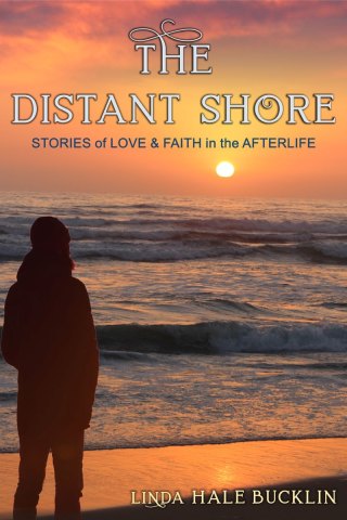 Titelbild: The Distant Shore 9781644572221