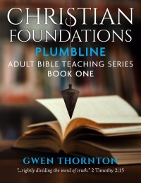 Omslagafbeelding: Christian Foundations: Plumbline Adult Teaching Series, Book One 9781644572740