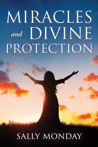 表紙画像: Miracles and Divine Protection 9781644577363