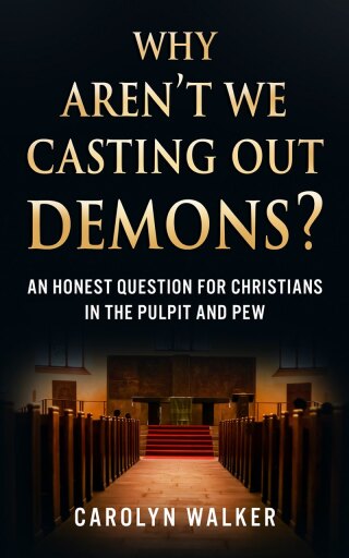 Cover image: Why Aren’t We Casting Out Demons? 9781644577646