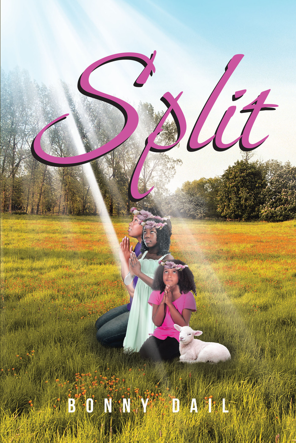 Split (eBook)