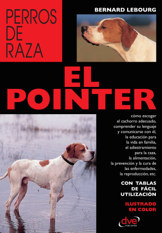 Imagen de portada: El pointer 9788431530143