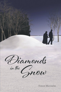 Cover image: Diamonds in the Snow 9781644685419