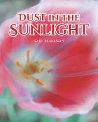 Titelbild: Dust in the Sunlight 9781644689400