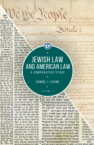 Titelbild: Jewish Law and American Law, Volume 2 9781618116574